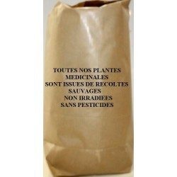 Guarana 500 g POUDRE Paullinia sorbilis