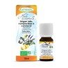 Origan compact - Huile essentielle BIO AB Phytofrance - 10 mL