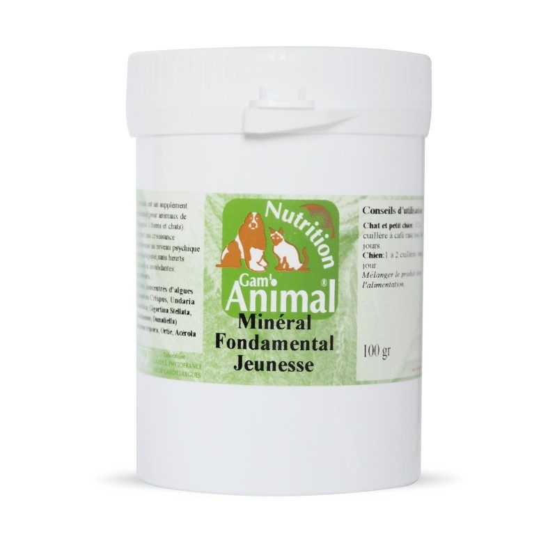 Minéral fondamental jeunesse - Animaux Minéral fondamental jeunesse - Animaux