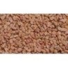 Bockshornkleesamen 1 Kg PULVER Trigonella foenum-graecum