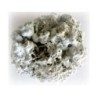 Lithothaminium calcareum 1 Kg pdre