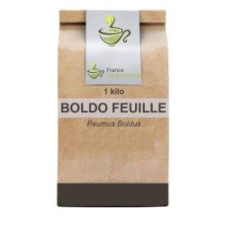 Tisane Boldo feuille 1 KILO Peumus boldus.