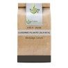 Luzerne (Alfalfa) Pflanze 1KILO Medicago sativa