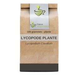 Lycopodium Pflanze 100 GRS Lycopodium clavatum.