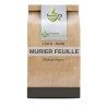 Murier Blatt 1 KILO Rubus fructicosus.