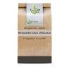 Renouée des oiseaux plante 100 GRS Polygonum aviculare
