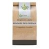 Vogelknöterich Pflanze 250 GRS Polygonum aviculare