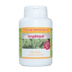 GELULES ANGELIQUE racine 280 mg.