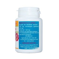 Klettenwurzel-Kapseln 100 Kapseln mit einer Dosierung von 250 mg.