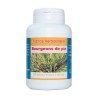 BOURGEONS DE PIN 200 gélules dosées à 200 mg