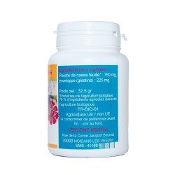 GELULES CASSIS feuille 120 gélules dosées à 270 mg