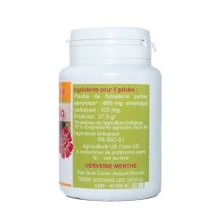 FUMETERRE Pflanze GELES 100 Kapseln mit einer Dosierung von 200mg.