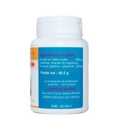 GELULES GELEE ROYALE pure 300 mg 100 gélules