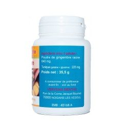 GELULES GINGEMBRE rhizome 270 mg 100 gélules
