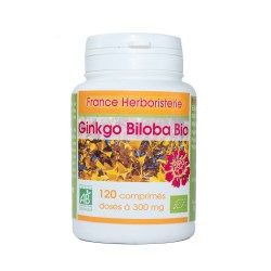 GINGKO-BILOBA BIO AB mit einer Dosierung von 400 mg in Tablettenform.