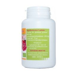 200 gélules GUARANA BIO AB dosées à 300 mg.