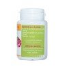 GELULES GYMNEMA 270 mg 100 gélules