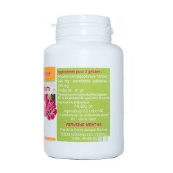 GELULES HARPAGOPHYTUM 330 mg 200 gélules