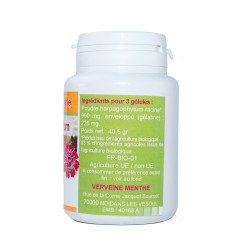 HARPAGOPHYTUM BIO 100 gélules dosées à 330g