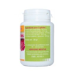 Complexe circulatoire 260 mg 120 gélules