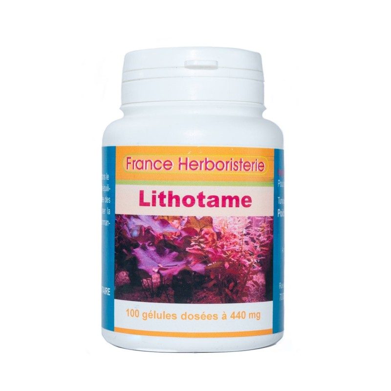 GELULES LITHOTAME 440 mg 100 gélules GELULES LITHOTAME 440 mg 100 gélules