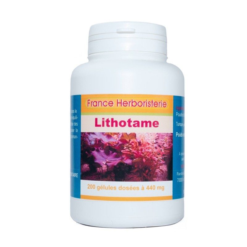 GELULES LITHOTAME 400 mg 200 gélules