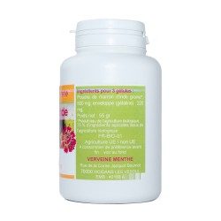 GELULES MARRON D'INDE 200 gélules dosées à 200 mg.