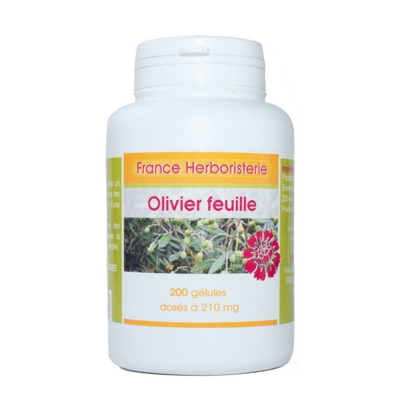 GELULES OLIVIER feuille 230 mg 