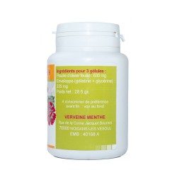 GELULES OLIVIER feuille 210 mg 