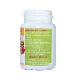 GELULES PISSENLIT racine 100 gélules dosées à 270 mg