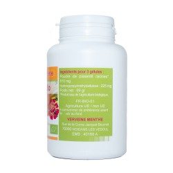 200 gélules PISSENLIT racine BIO AB dosées à 270 mg.