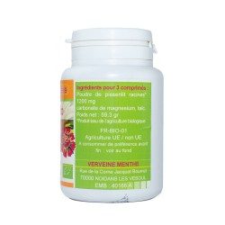 PISSENLIT Wurzel BIO AB 120 Tabletten dosiert mit 400 mg in Tablettenform.