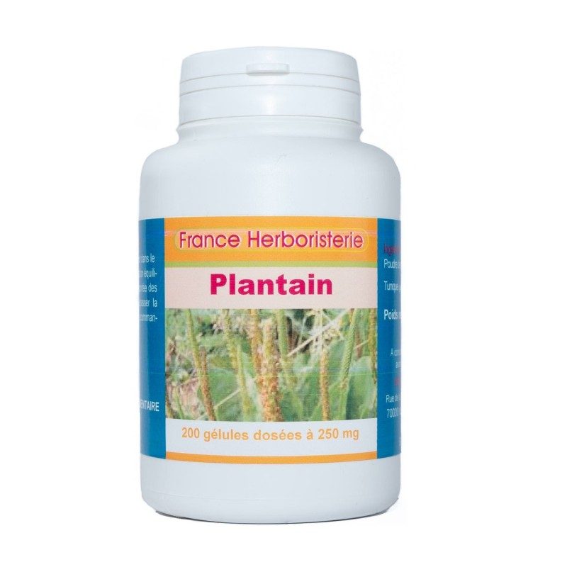 GELULES PLANTAIN 250 MG 