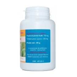 GELULES PLANTAIN 250 MG 