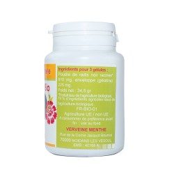 GELULES RADIS NOIR racine 270 mg 100 gélules