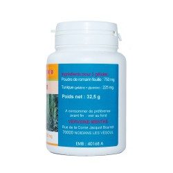 GELULES ROMARIN feuille 250 mg 