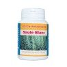 GELULES SAULE BLANC ecorce 200 mg