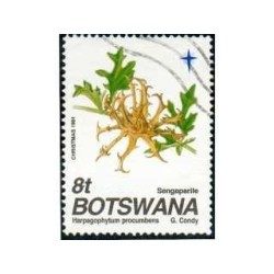 Teufelskralle (Harpagophytum) 1 Kg POUDER Harpagophytum procucu