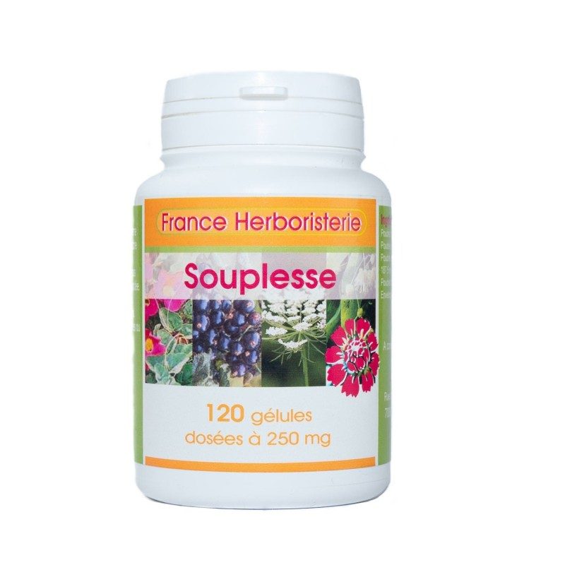 SOUPLESSE ARTICULAIRE 120 gélules 250 mg poudre pure SOUPLESSE ARTICULAIRE 120 gélules 250 mg poudre pure