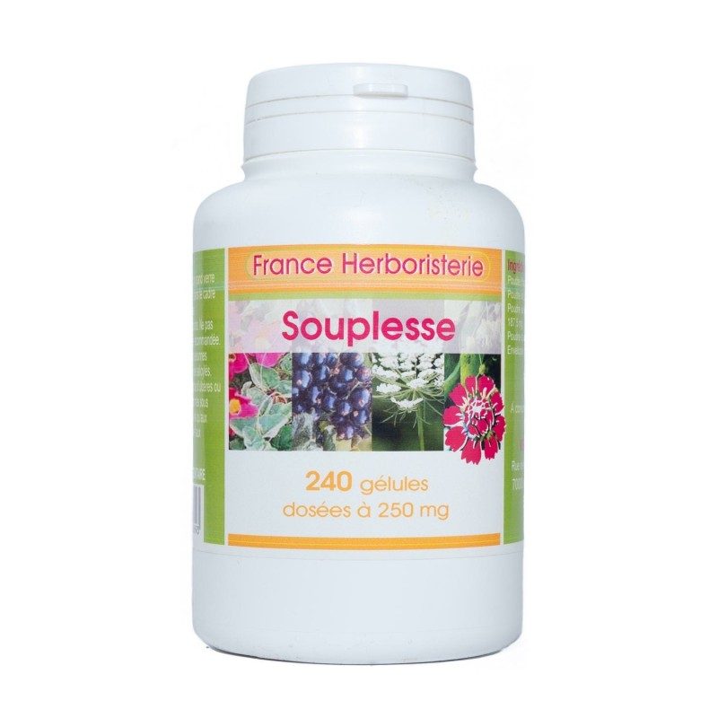 SOUPLESSE ARTICULAIRE 240 gélules 250 mg poudre pure SOUPLESSE ARTICULAIRE 240 gélules 250 mg poudre pure