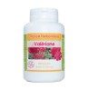 GELULES VALERIANE officinale racine 300 mg 