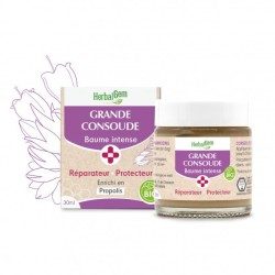Baume intense grande consoude Herbalgem - pot de 30ml