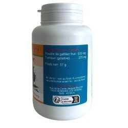 GELULES GATTILIER 100 gélules dosées à 210mg.