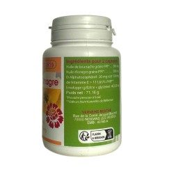 BOURRACHE-ONAGRE - 100 capsules dosées à 500mg