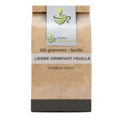 Lierre grimpant feuille 100 GRS Hedera helix.