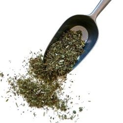 Kräutertee Alchemilla vulgaris (Frauenmantel) 100g. TK-Pflanze Alchemilla