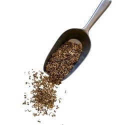 Tisane Angelique racine 250g. CT Angelica archangelica