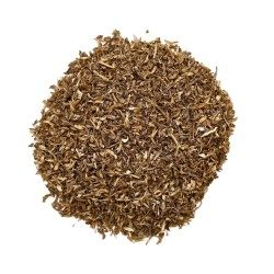 Tisane Angelique racine 250g. CT Angelica archangelica