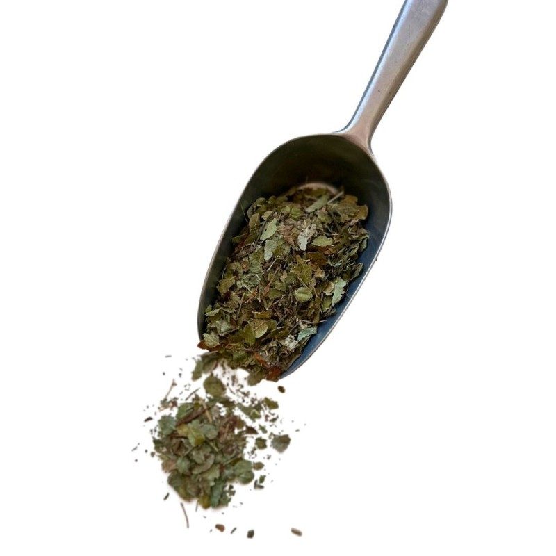 Myrtille (Airelle) feuille 100g