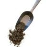 Tisane Argentine 100 GRS (Potentille) (Ansérine) plante CT Potentilla